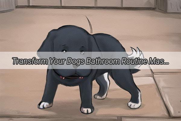 Transform Your Dogs Bathroom Routine Master the Art of Potty Hopping in the Car